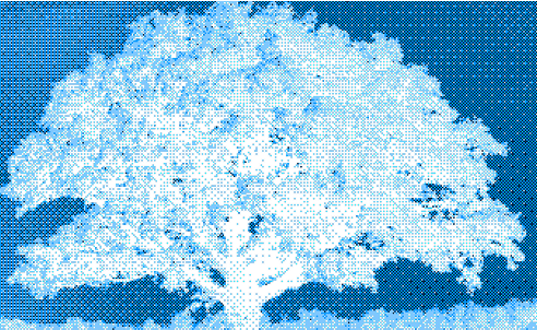 Growth Stage