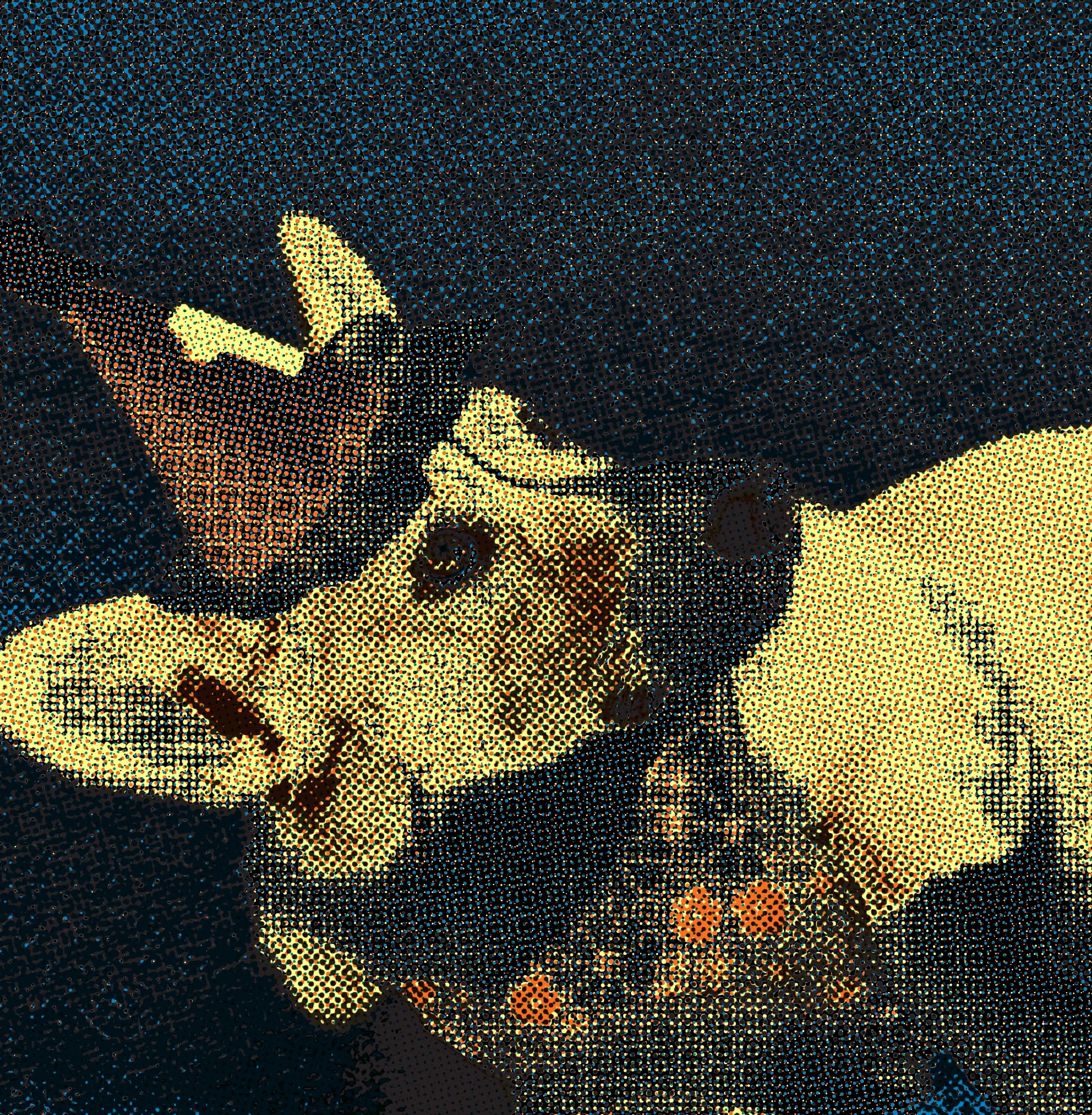 Corgi mascot birthday
