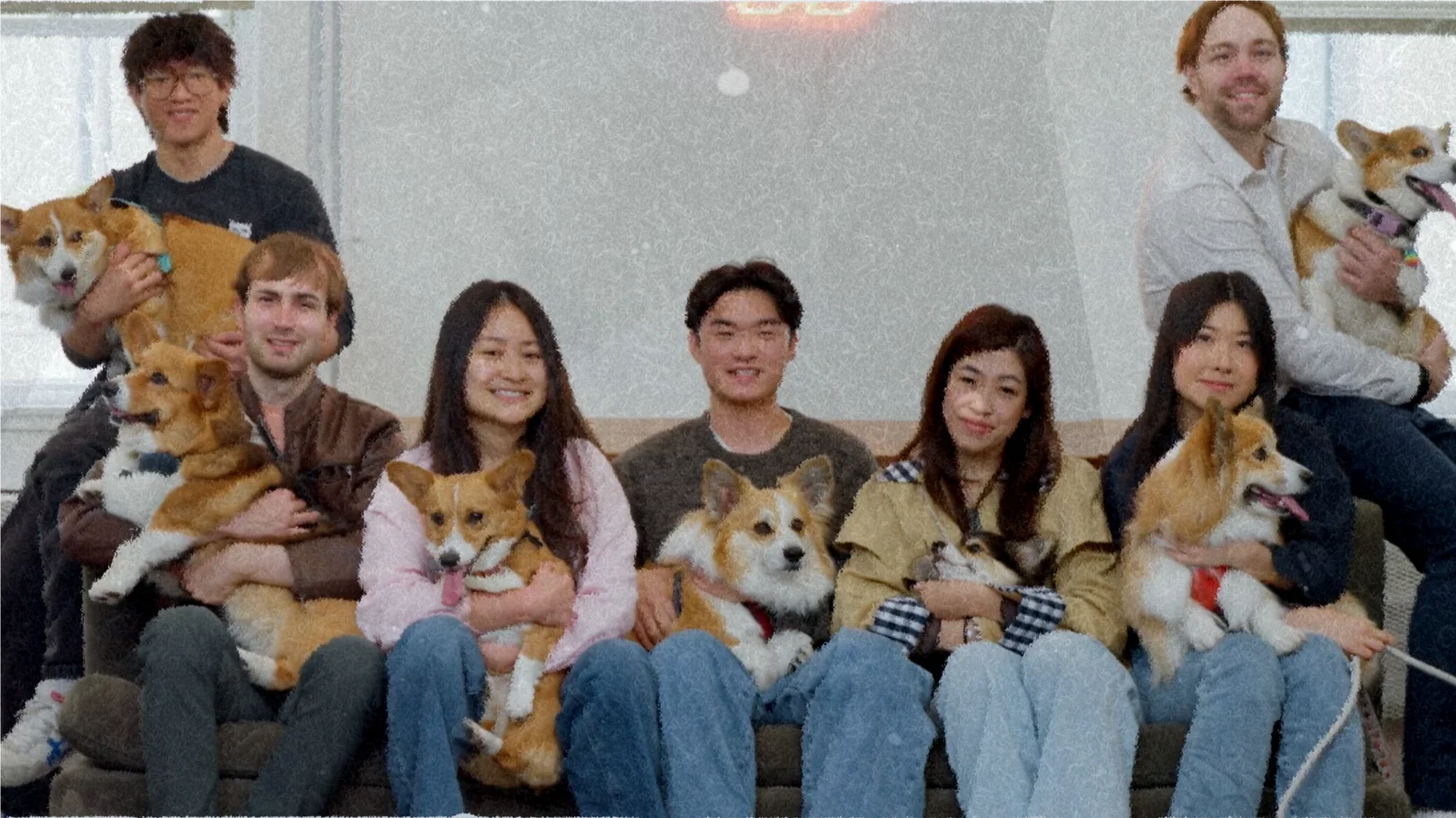 Corgi team seated together