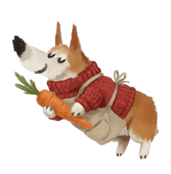 Corgi Insure Startup Insurance | Corgi Insurance