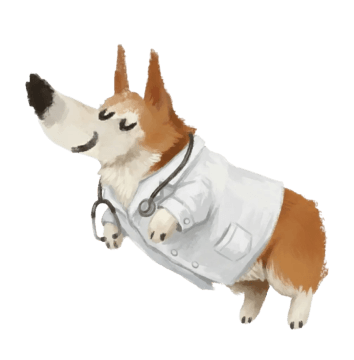Corgi Insure About | Corgi Insurance